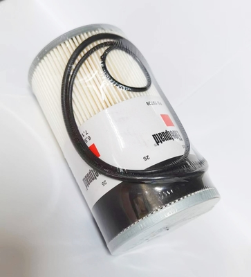 FS19728 P550736 Filtro a nucleo in carta combustibile per escavatore