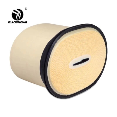 252-5001 filtro dalla cavità della ruota di Air Filter ERPILLAR M315D2 dell'escavatore